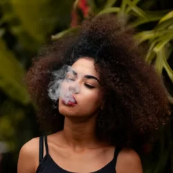 Equivalencia que tienen cachimbas y cigarrillos